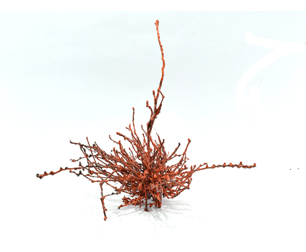 Coral de árbol-2 / Tree coral-2 | GALERÍA BIEN FRESH